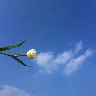 天珠变满v版下载