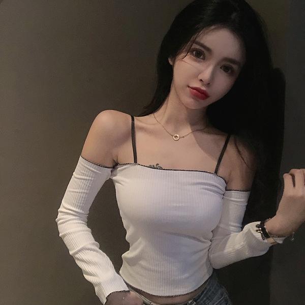 精灵宝可梦破解版下载